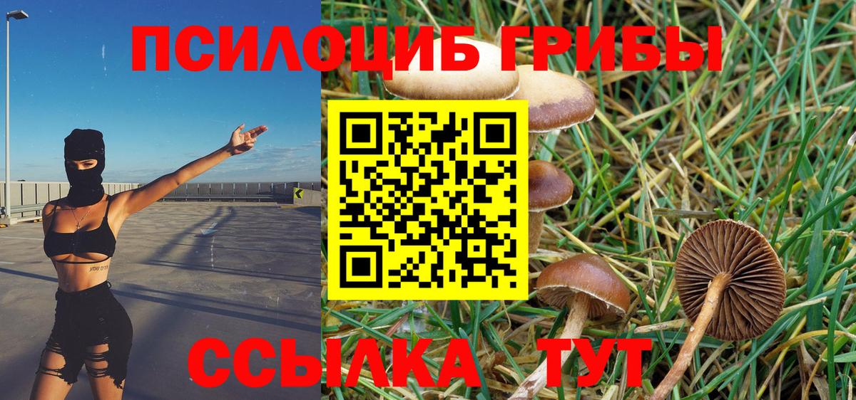 Вичуга  Галлюциногенные грибы Magic Shrooms  Вход с VPN 