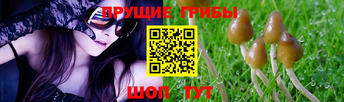 Псилоцибиновые грибы мицелий Вичуга